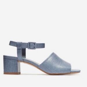 Everlane Blue Lizard Block Heel Sandals